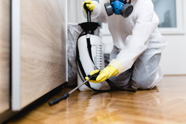 Best Commercial Pest Control Services  in Choudrant, LA