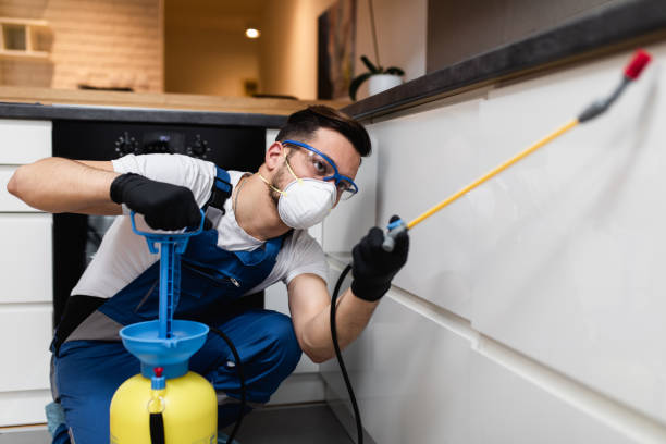 Best Bed Bug Extermination  in Choudrant, LA