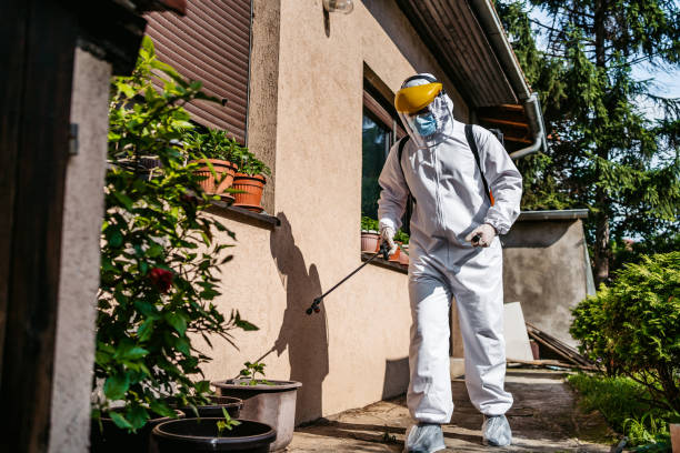Best Spider Control Near Me  in Choudrant, LA