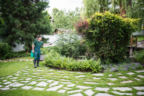 Professional Pest Control in Choudrant, LA