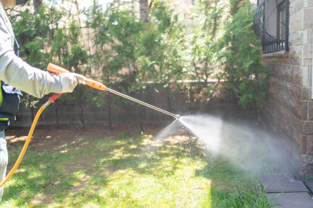 Flea Control Services in Choudrant, LA