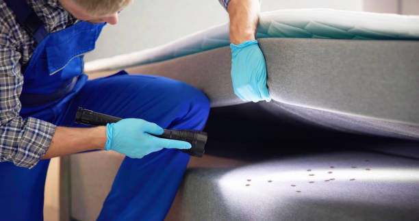 Best Termite Control Services  in Choudrant, LA