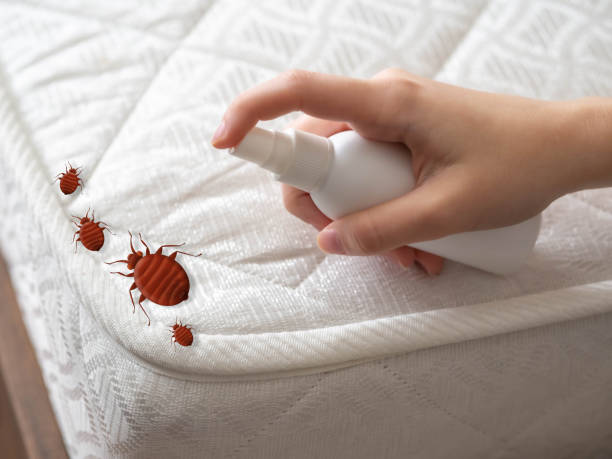 Best Pest Inspection Near Me  in Choudrant, LA